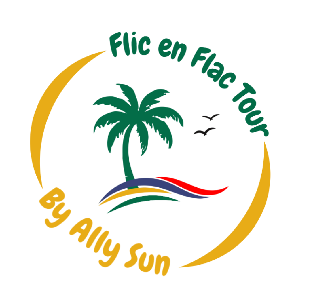 Logo Flic en Flac Tour